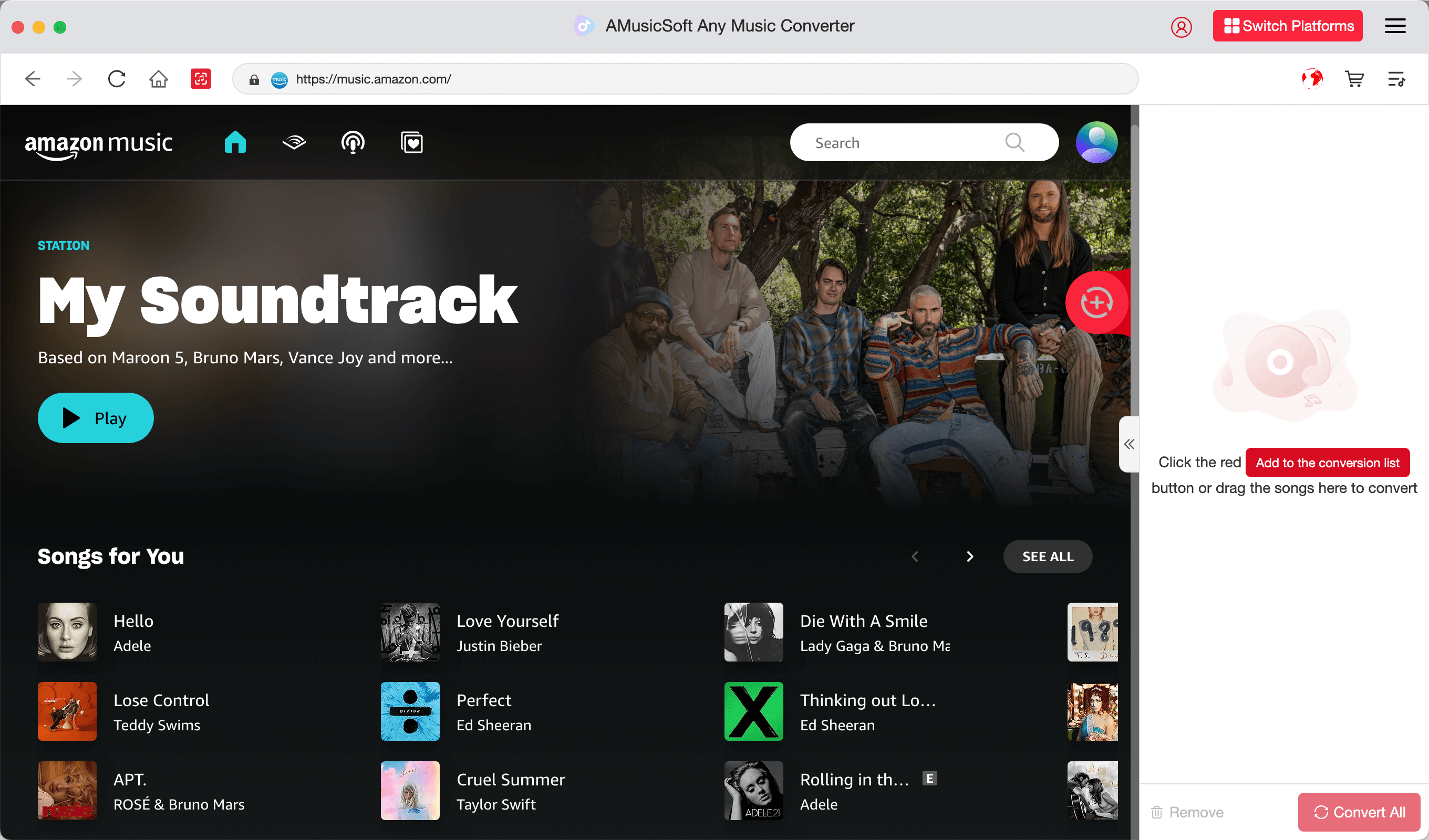 Choose Amazon Music or playlist to convert