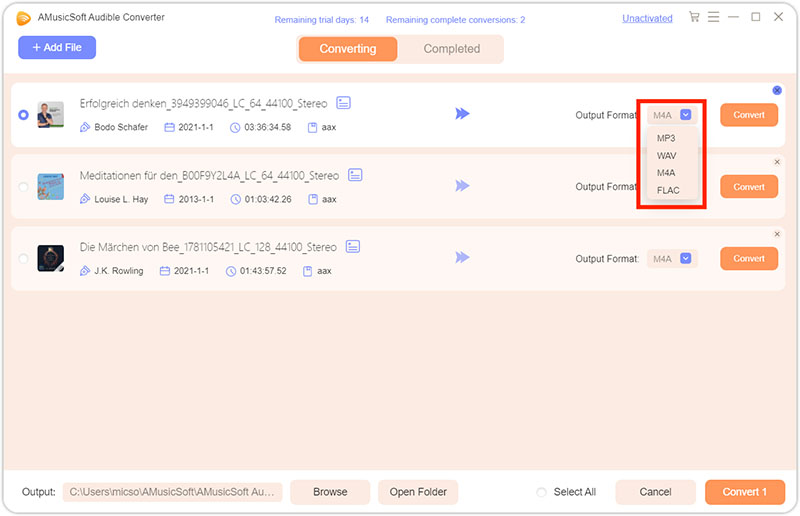 Selecione o formato de saída