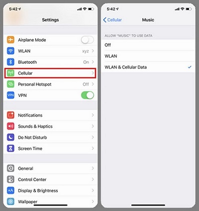 تحقق من iPhone Cellular Data