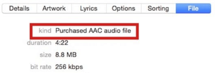 Check iTunes Audio Format to Fix iTunes Songs Greyed Out