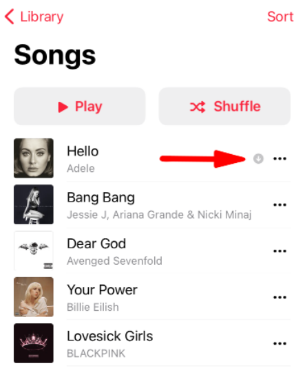 Laden Sie gekaufte Musik von iTunes herunter