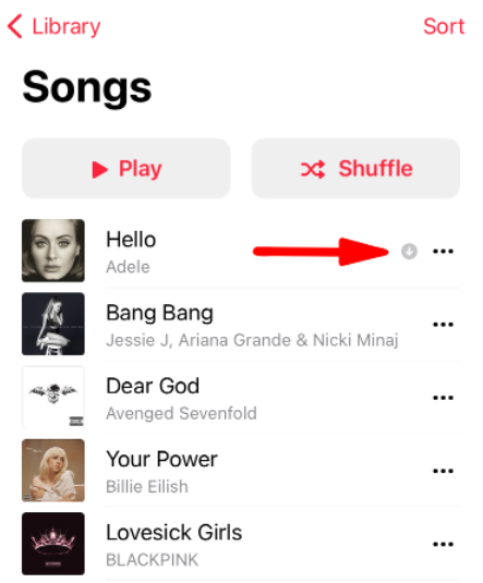 Scarica la musica acquistata da iTunes