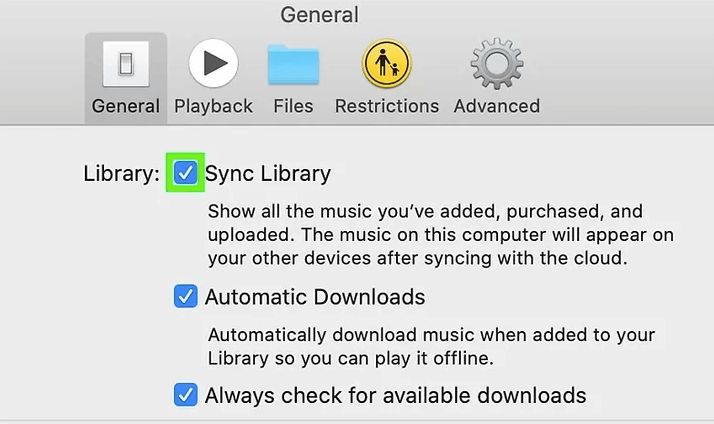 Enable Library Syncing On Mac