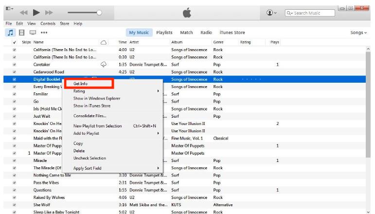 Get Info In iTunes