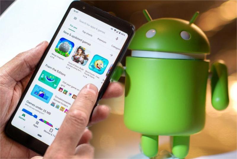 Compatibilità con Google Play Store