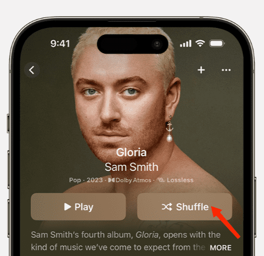 Shuffle Apple Music Album 