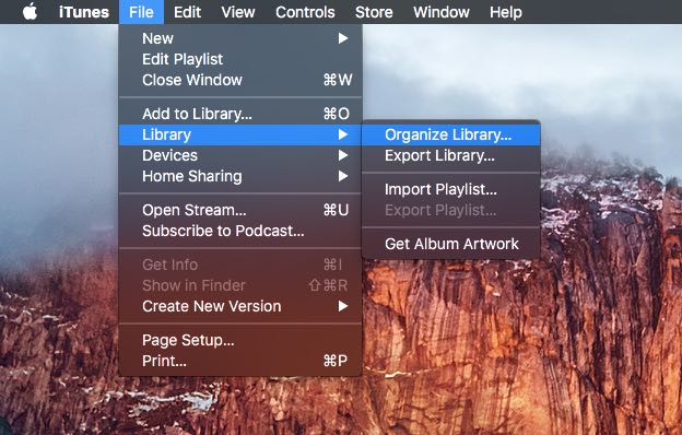 Organize a biblioteca do iTunes