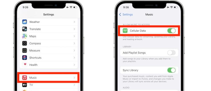 Allowed Cellular Data To Play Music