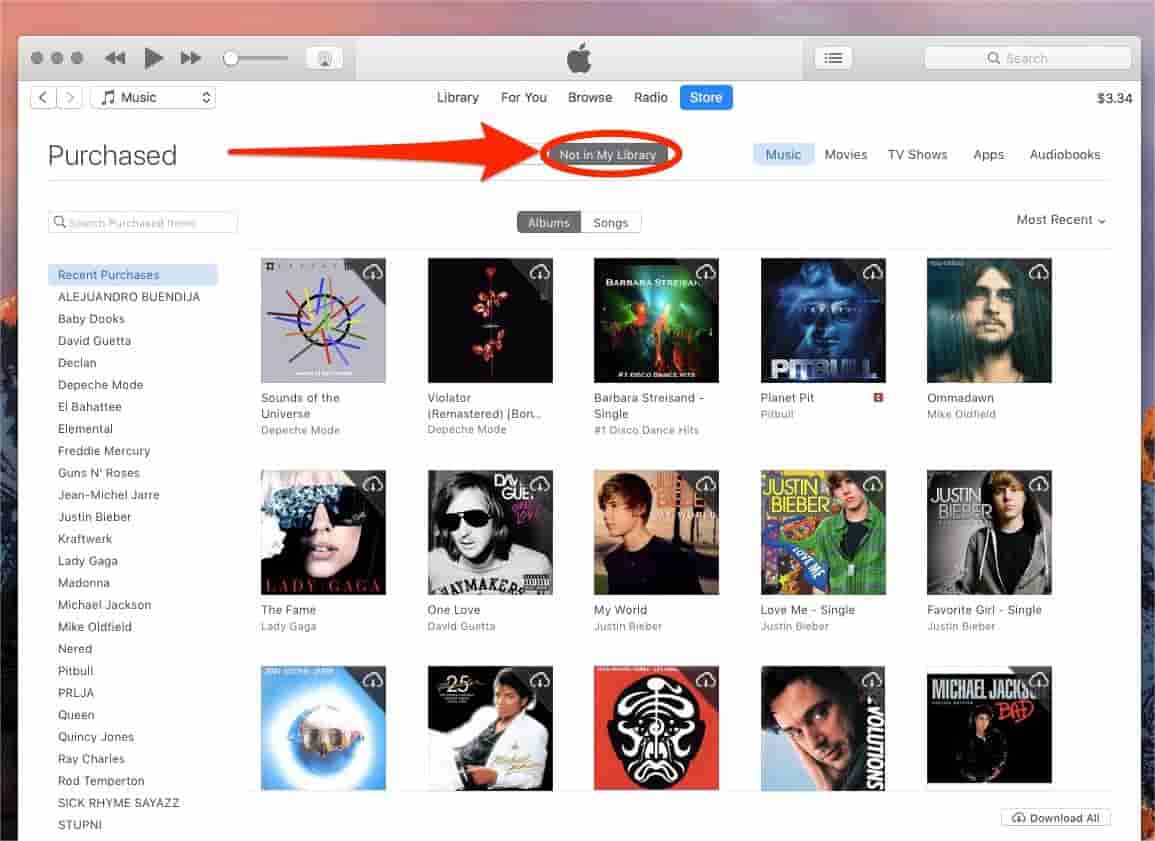 Scarica iTunes di musica acquistata