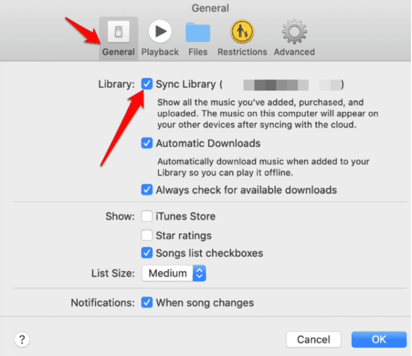iTunes Sync Library