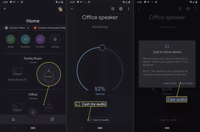 Google Home Cast My Audio