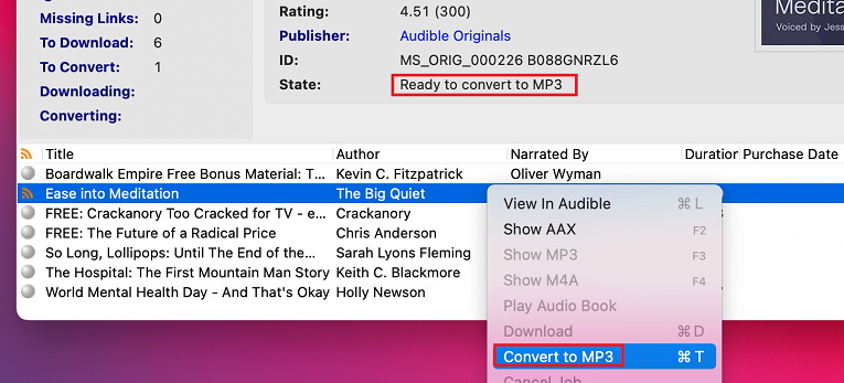 Convert AAX Via OpenAudible