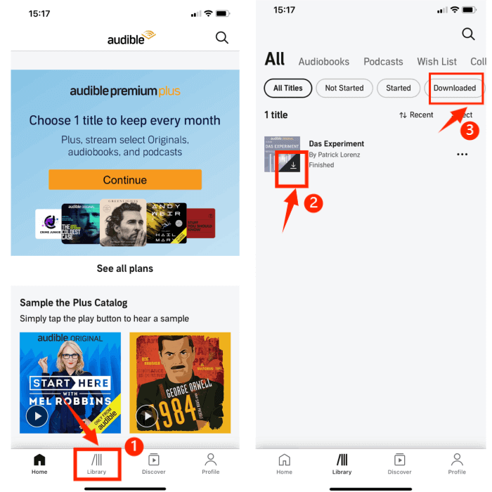 Audible offline auf Mobilgeräten streamen