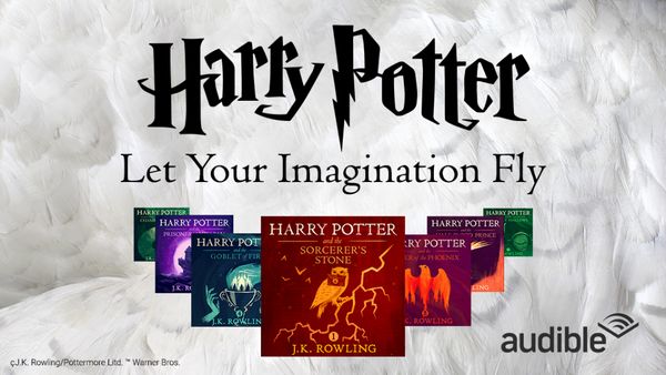 The Harry Potter Series