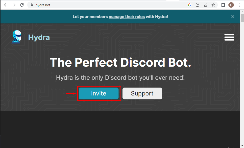 Ajouter le robot musical Spotify Discord