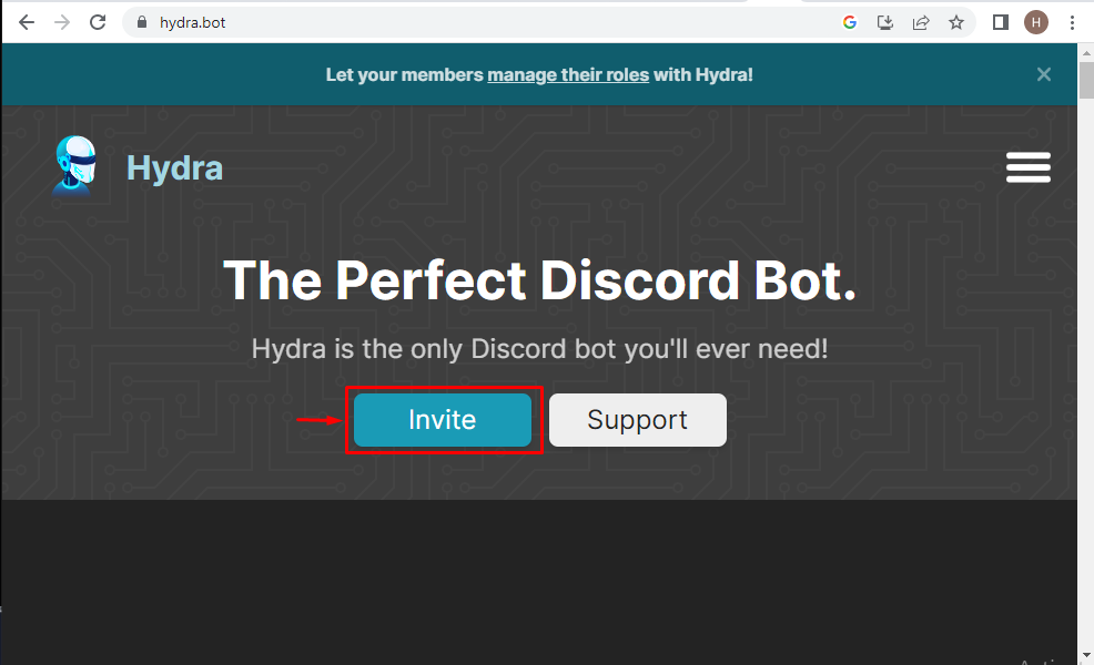 Add Spotify Discord Music Bot