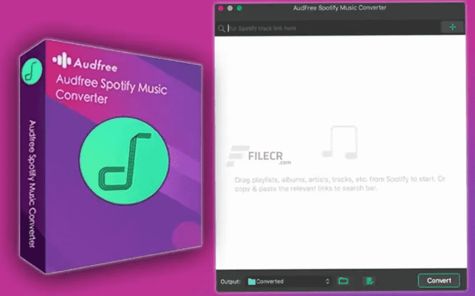 Bez dźwięku Spotify Music Converter