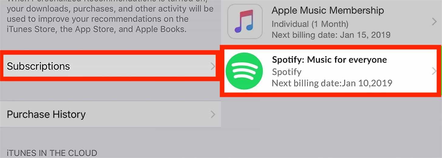 Annulla l'abbonamento Spotify su iPhone