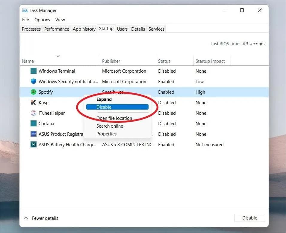 Disable Spotify Startup In Windows Task Manager