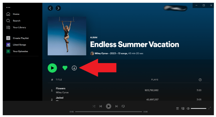Загрузите Spotify на рабочий стол