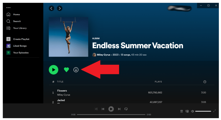 Spotify を PC にオフラインでダウンロード