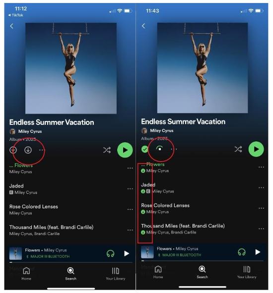 Download Spotify-nummers via Premium