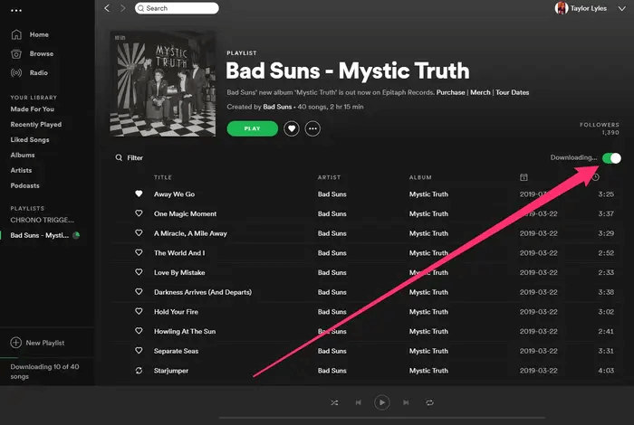 Laden Sie Spotify-Songs auf dem Desktop herunter