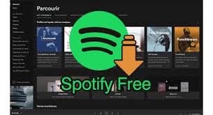 Удалите DRM-защиту Spotify