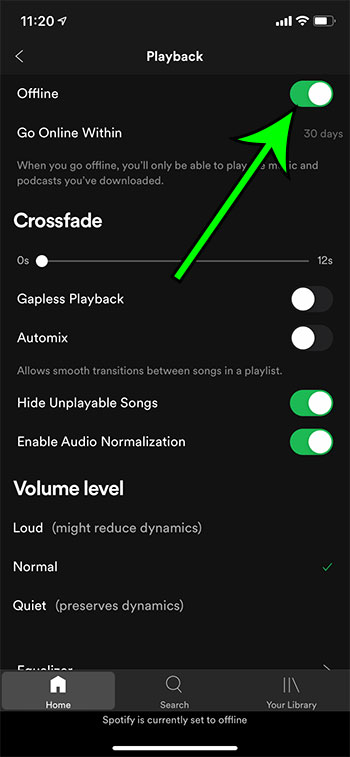 Play Spotify Songs Using Offline Mode
