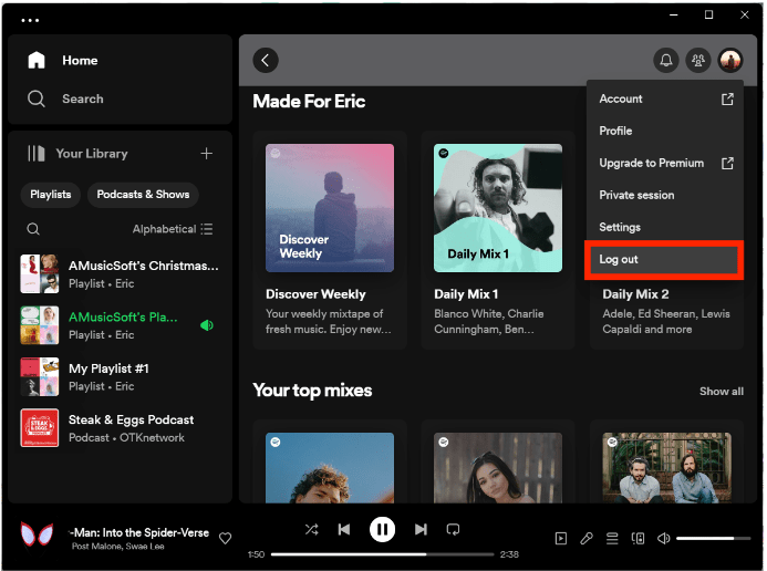 Remove Devices From Spotify Manually