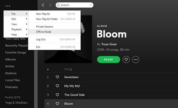 启用 PC Spotify 离线模式