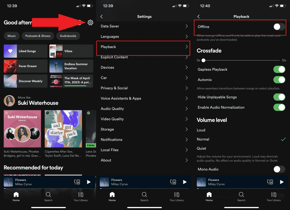 iPhone 上的 Spotify 离线模式