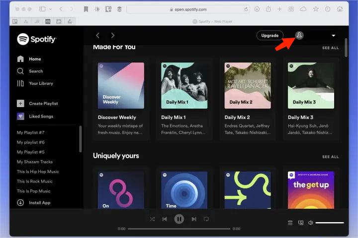訪問 Spotify 設置