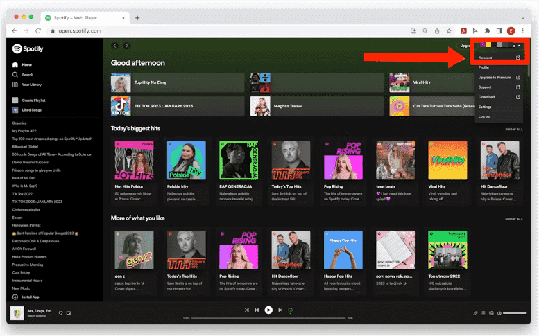 在桌面上恢复Spotify已删除的播放列表
