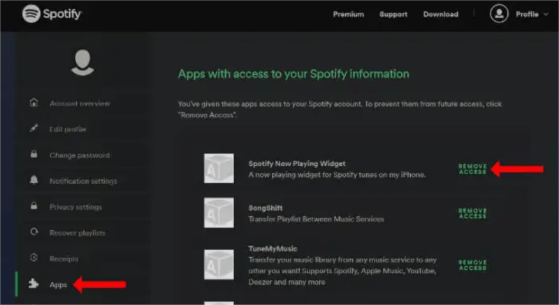 Spotify-Zugriff entfernen