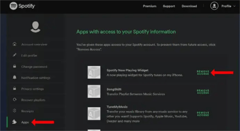 Spotify remover acesso