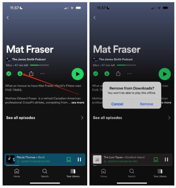 Verwijder Spotify gedownload op telefoon