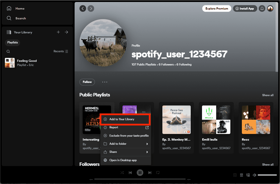 Durchsuchen Sie das Spotify-Kontoprofil