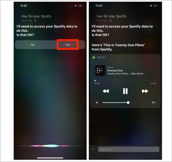 确保 Siri 在 Spotify 上播放