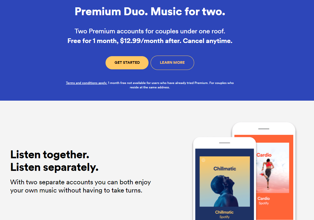 Spotify Premium Duo Plan