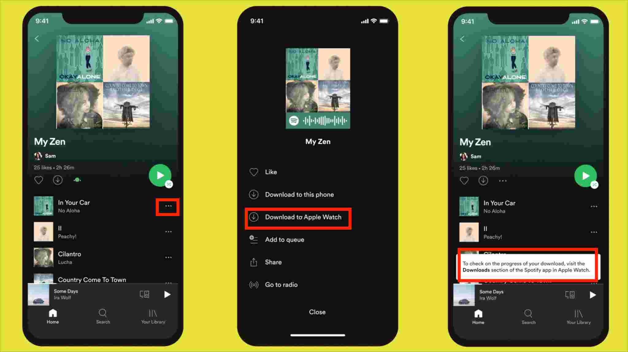 Spotify Offline Listening