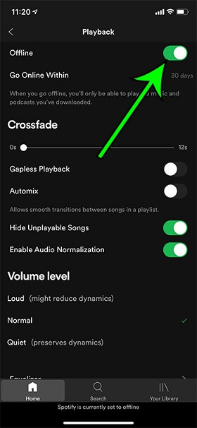 Play Spotify Offline on iPhone