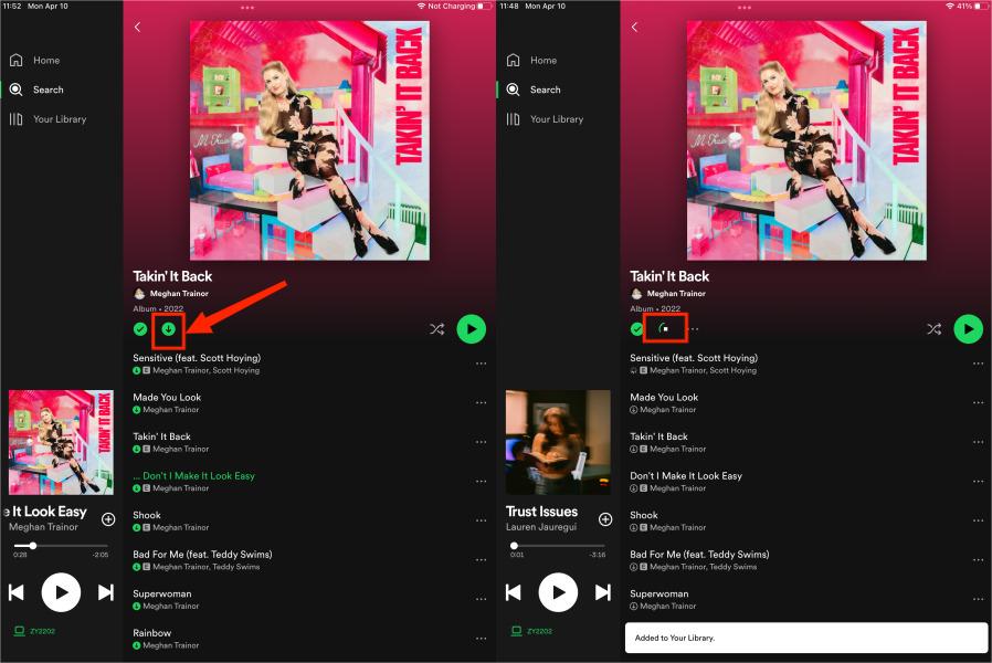 Télécharger des chansons Spotify sur iPad