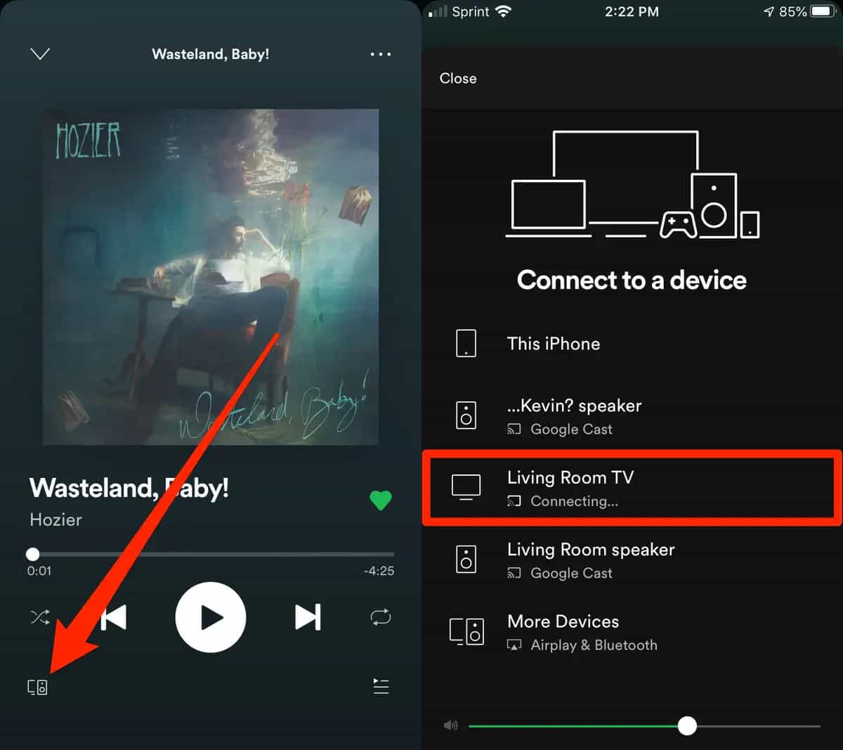 Spotify Mobile sur Chromecast