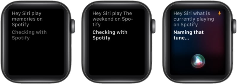 Siri 在 Apple Watch 上播放 Spotify