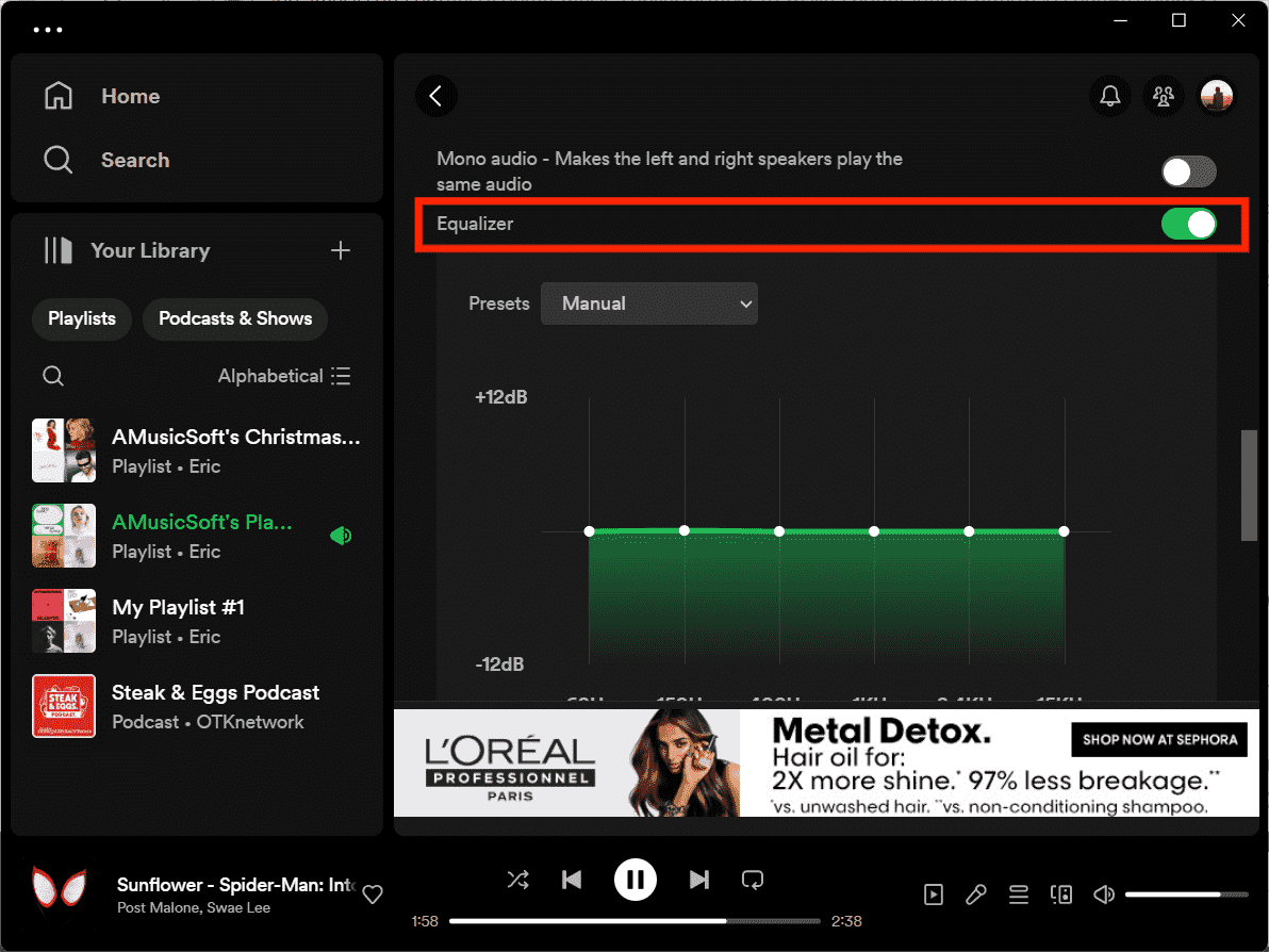 Use Equalizer On Spotify