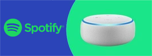 Usa Spotify su Amazon Alexa