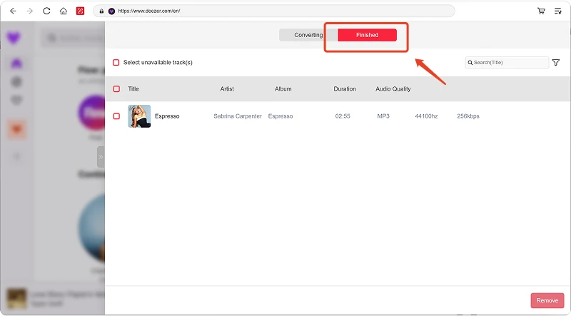 View the Converted Result