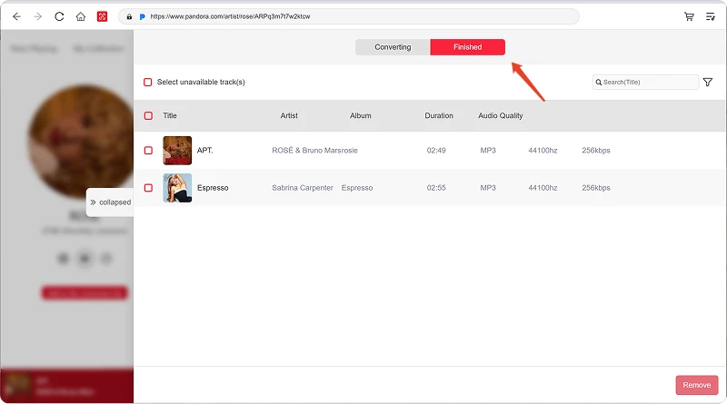 View the Converted Result