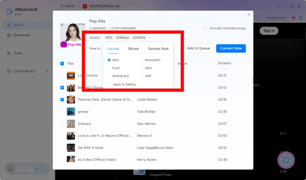 Seleziona il formato di output e personalizza le impostazioni di output.